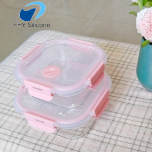 Custom High Borosilicate Glass Food Storage Container with Silicone Sealing Lid